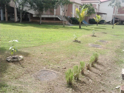 Taman Herba 2