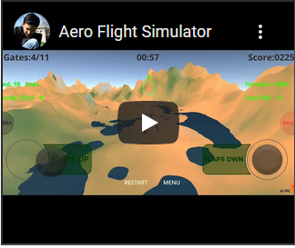 Flight Simulator