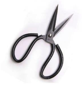 Steel Scissor